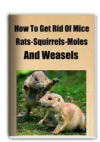 How To Get Rid Of Mice-Rats-Squarrels-Moles and Weasels