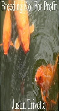 Breeding Koi For Profit