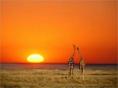 Tales of Africa