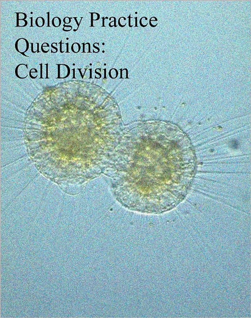 Biology Practice Questions: Cell Division