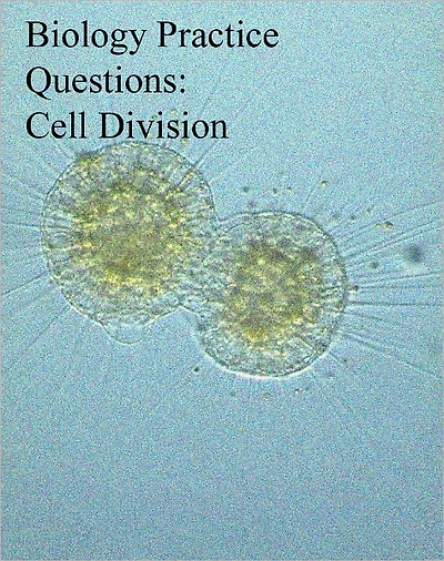 Biology Practice Questions: Cell Division