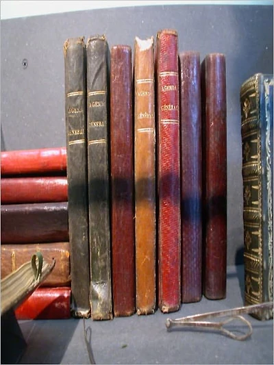 Books of the Bible Series