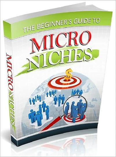 The Beginner's Guide To Micro Niches