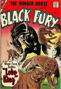 Black Fury Number 11 Western Comic Book