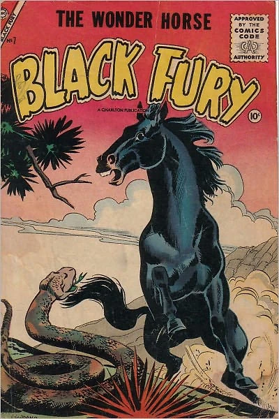 Black Fury Number Western Comic Book