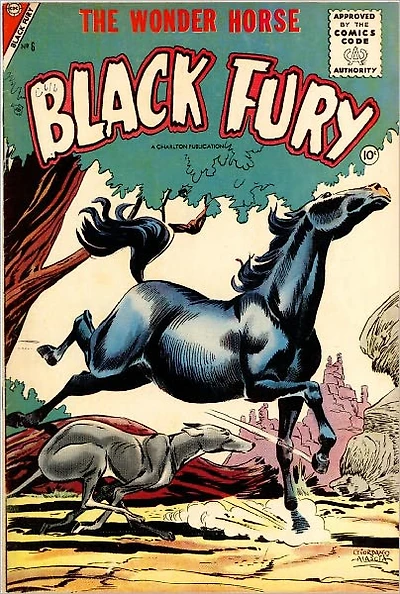 Black Fury Number Western Comic Book
