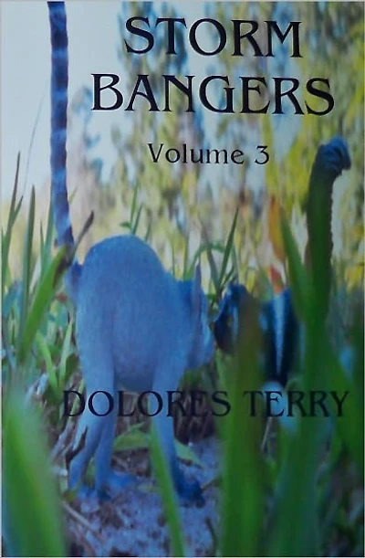 Storm Bangers - Volume 3