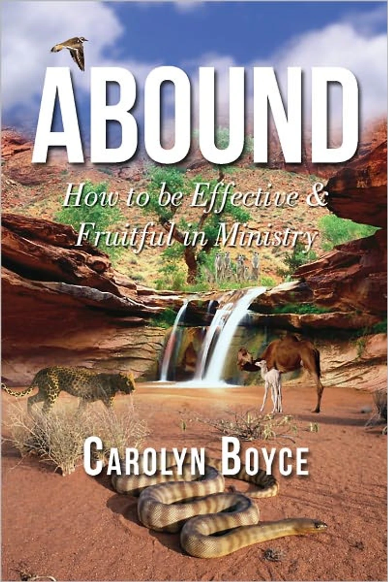 Abound: How to be Effective & Fruitful in Ministry