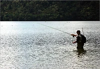 Fly Fishing Mastery Guide: Master the Pros Fishing Techniques