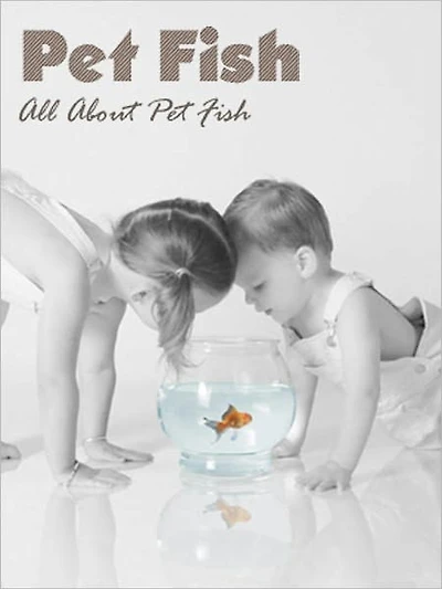 Pet Fish: All About Pet Fish