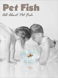 Pet Fish: All About Pet Fish