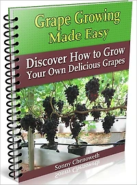 Grape Growing Made Easy