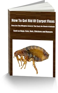 How To Get Rid Of Carpet Fleas Fleas Are Tiny Wingless Insects That Suck the Blood of Animals, Such as Dogs, Cats, Rats, Chickens and Humans. They Live in The Hosts' Fur or Feather, Deriving Nourishment From Their Bodies.