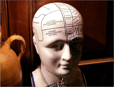 How to Improve Your Memory Power and Your Concentration