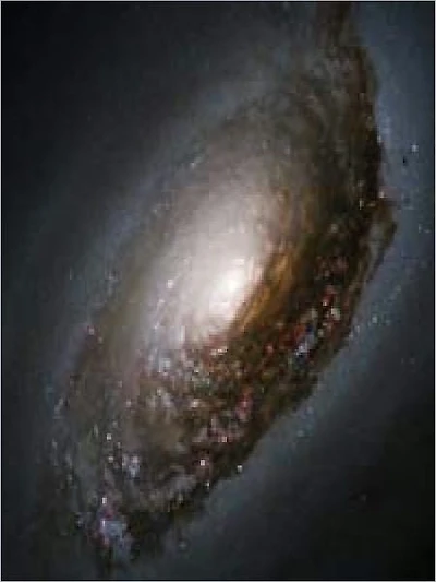 An Abrasive Collision Gives One Galaxy a "Black Eye"