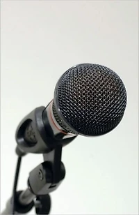 Confident Speaker: How to Beat Your Public Speaking Fear
