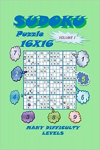 Sudoku Puzzle 16X16