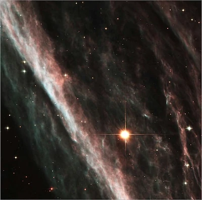 Supernova Shock Wave Paints Cosmic Portrait