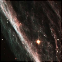 Supernova Shock Wave Paints Cosmic Portrait