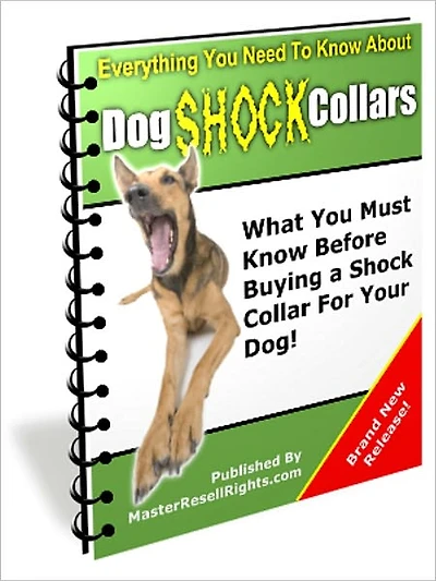 Dog Shock Collars - What You Must Know Before Buying a Shock Collar for Your Loving Dogs!