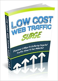 Essential Techniques - Low Cost Web Traffic Surge
