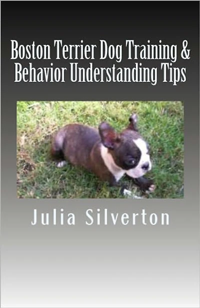 Boston Terrier Dog Training & Behavior Understanding Tips
