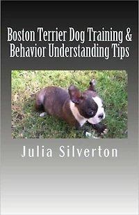 Boston Terrier Dog Training & Behavior Understanding Tips