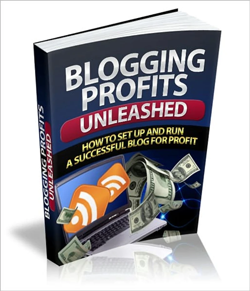 Gets You Big Results - Blogging Profits Unleased - How To Set Up and Run A Successful Blog For Profit
