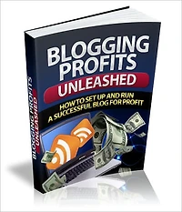 Gets You Big Results - Blogging Profits Unleased - How To Set Up and Run A Successful Blog For Profit