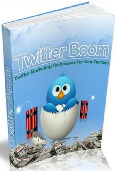 Twitter Boom: Twitter Marketing Techniques for Non-Techies