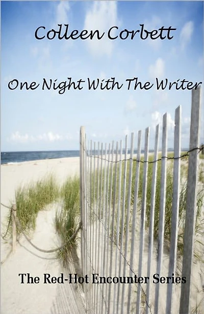 One Night With The Writer