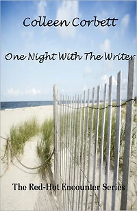One Night With The Writer