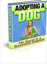 Adopting A Dog