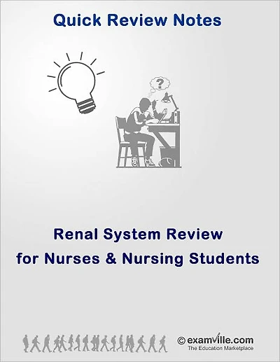 Renal System Quick Review for Nurses and Nursing Students