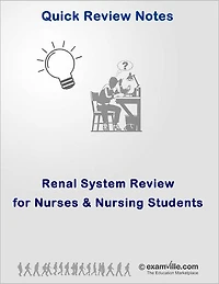 Renal System Quick Review for Nurses and Nursing Students