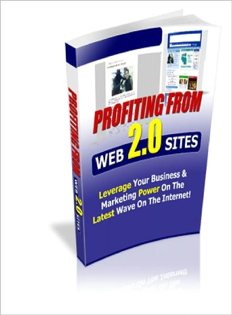 Profiting From Web 2.0 Sites