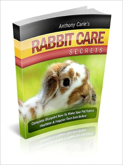 Rabbit Care How To Take Care Of Your Lovely Rabbit - Without Making Silly Mistakes!