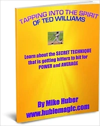 Tapping into the Spirit of Ted Williams