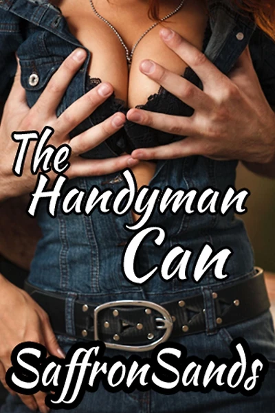 The Handyman Can
