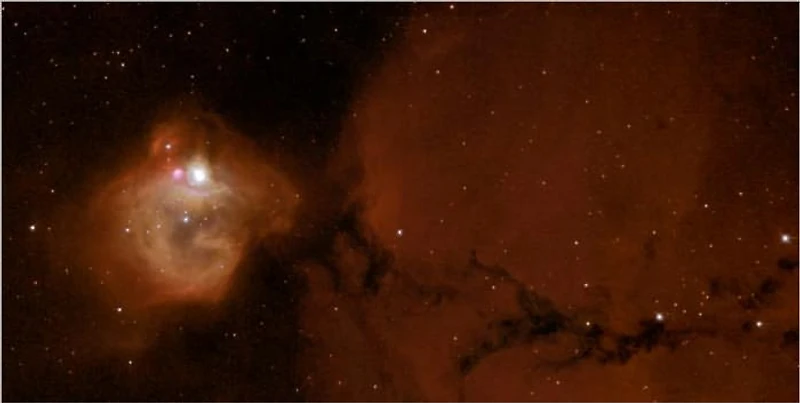 Massive Infant Stars Rock their Cradle