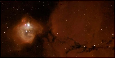 Massive Infant Stars Rock their Cradle
