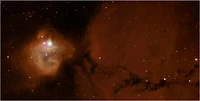 Massive Infant Stars Rock their Cradle