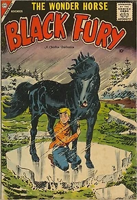 Black Fury Number 16 Western Comic Book