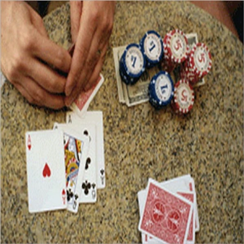PLAYING TEXAS HOLD'EM ONLINE-THE PROFESSIONAL GUIDE