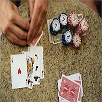 PLAYING TEXAS HOLD'EM ONLINE-THE PROFESSIONAL GUIDE
