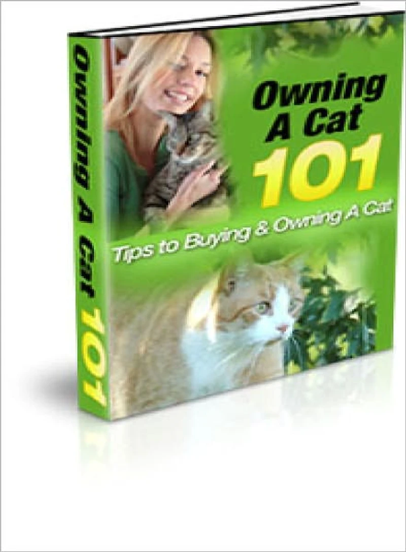 Owning A Cat 101