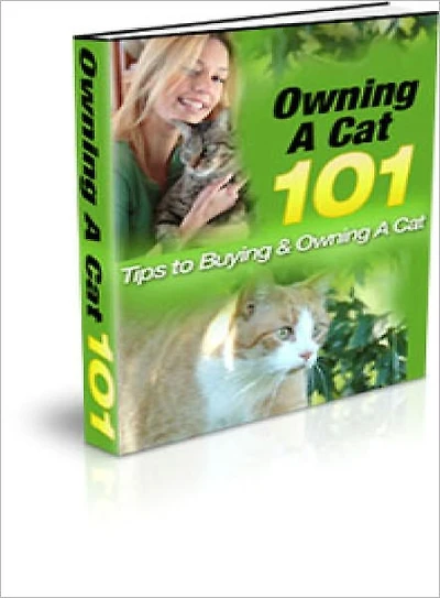 Owning A Cat 101