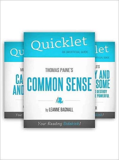 The Ultimate Political Science Quicklet Bundle