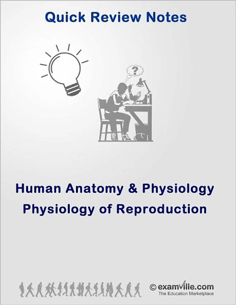 Physiology of Reproduction: Quick Review for Nurses, Nursing and Medical Students