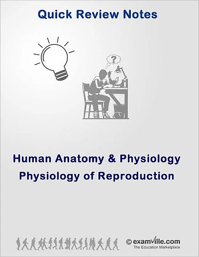 Physiology of Reproduction: Quick Review for Nurses, Nursing and Medical Students